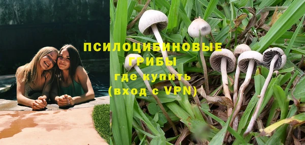 прущая мука Горняк