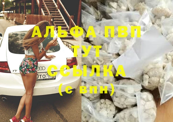 СК Горнозаводск
