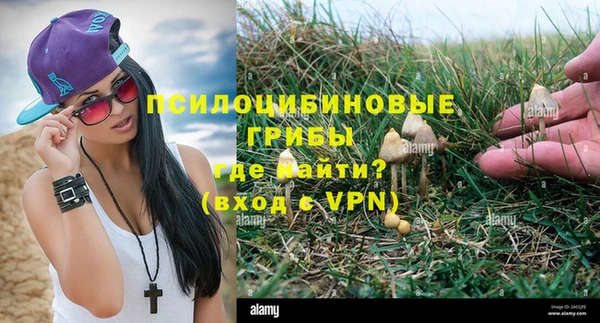 прущая мука Горняк