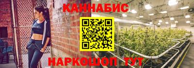 сатива Камышлов