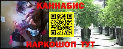 сатива Камышлов