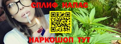 сатива Камышлов