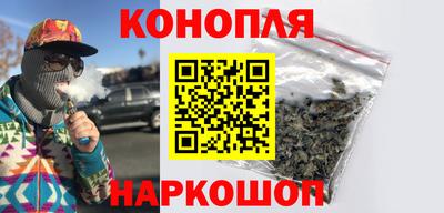 сатива Камышлов