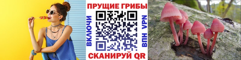 Псилоцибиновые грибы ЛСД Отрадный