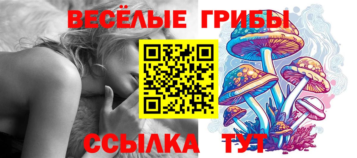 Псилоцибиновые грибы Magic Shrooms  Галлюциногенные грибы Cubensis  Вход с VPN  Отрадный 